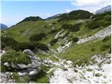 Planina Podvežak - Kocbekov dom na Korošici